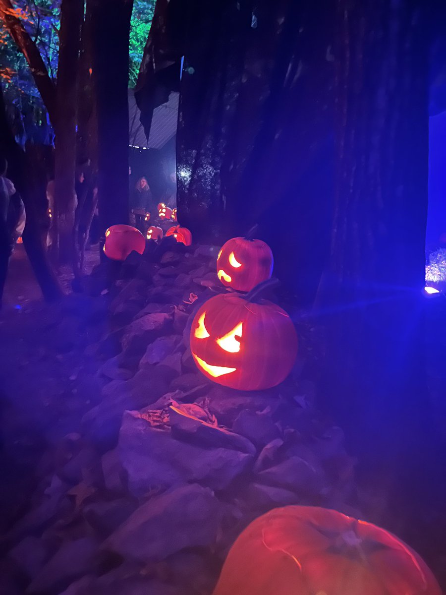 DaveHamilton's tweet photo. Time for the Haunt! #hauntedoverload #halloween https://t.co/IqnCCZN8sk