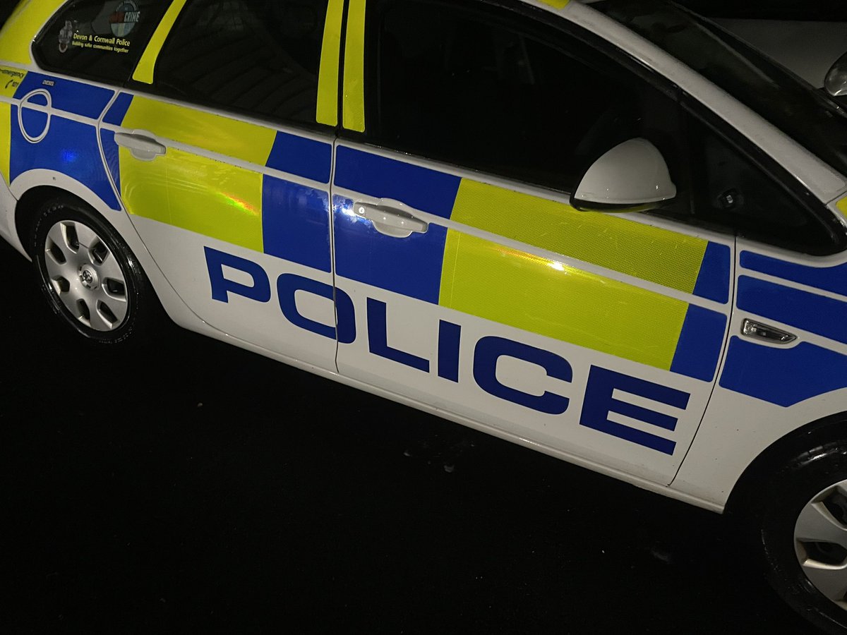 DCP South Devon Specials tweet media