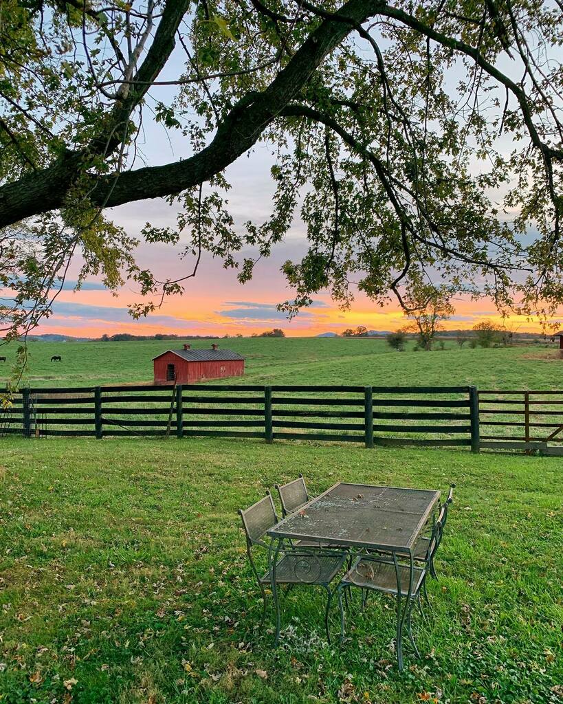 🌅 instagr.am/p/CVY5lVsr3Gh/