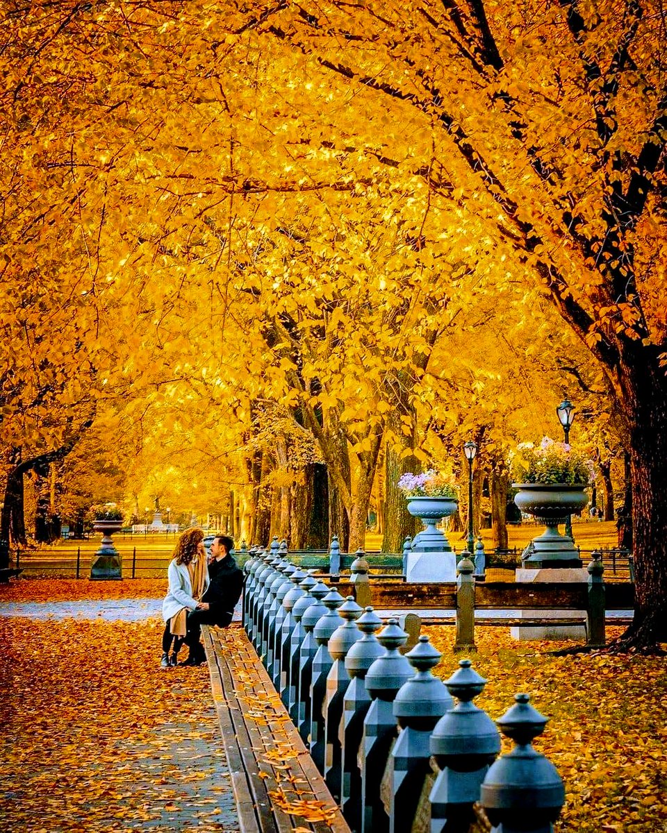 bygdon's tweet photo. #Autumn we cant wait to see your #magicGold take over. Lot of #love is served under you https://t.co/4rjReEQZxj