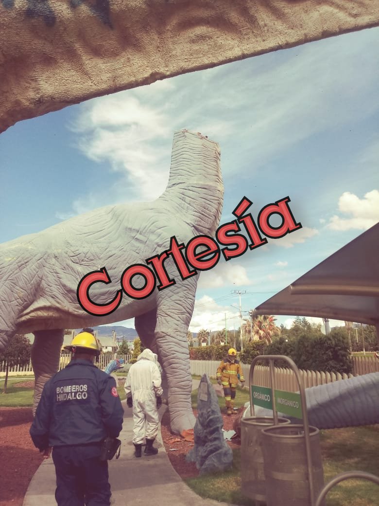 EcosHidalgo's tweet photo. ¡En cabeza de dinosaurios había un panal de abejas!
En el Museo de El Rehilete de #Pachuca total de 12 personas resultaron con picaduras de abeja y 120 fueron evacuados entre visitantes y empleados.
Al #Dinoparque llegaron elementos del H. Cuerpo de #Bomberos de #Hidalgo https://t.co/PMIzews9ks