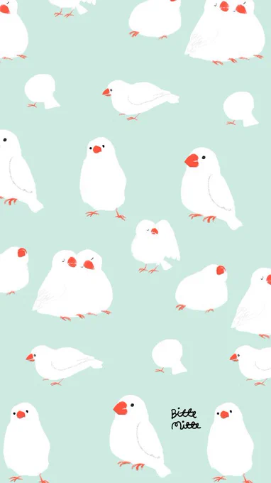 #文鳥の日 
かわいい 
