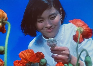 ウルトラセブン 第31話 悪魔の住む花 衝撃 16歳でスーツアクター