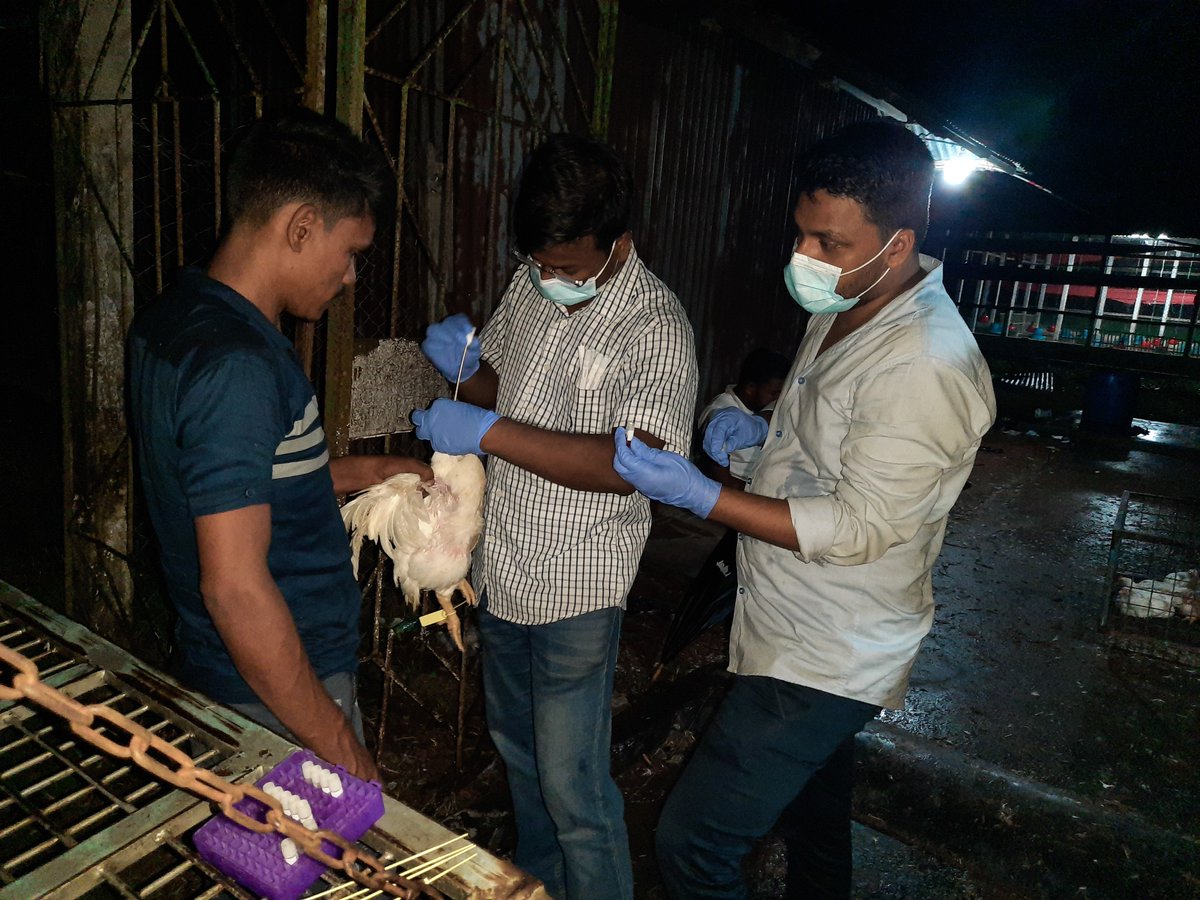 Md.Helal Uddin tweet media