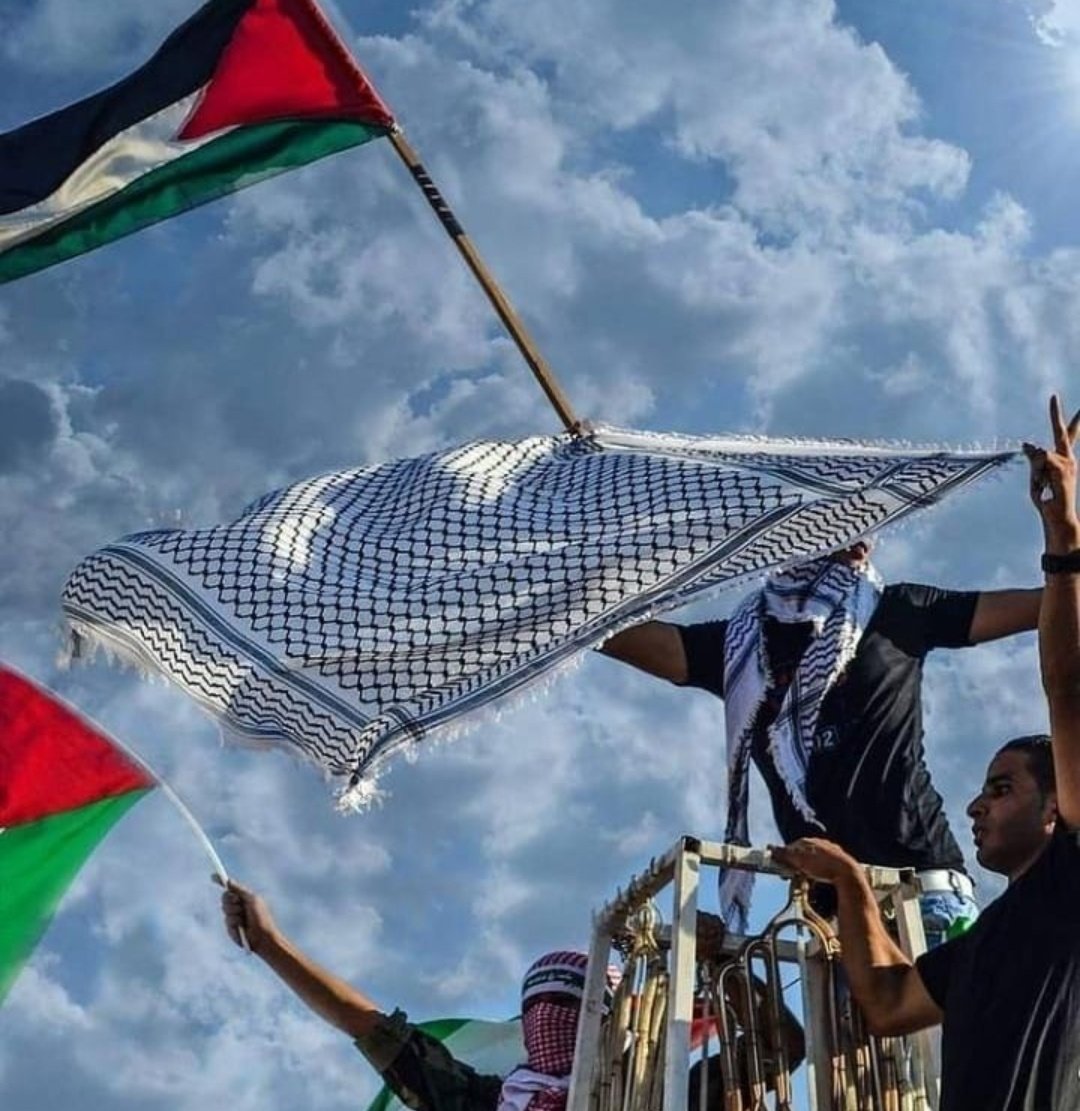 راية خضرا، كوفيه، حجرة وغصن زيتون، هاي تفاصيلنا الفلسطينية 🇵🇸!
#فلسطين_قضية_الشرفاء
#الجزائر