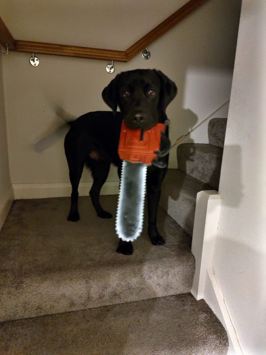 Cursed Roots tweet media