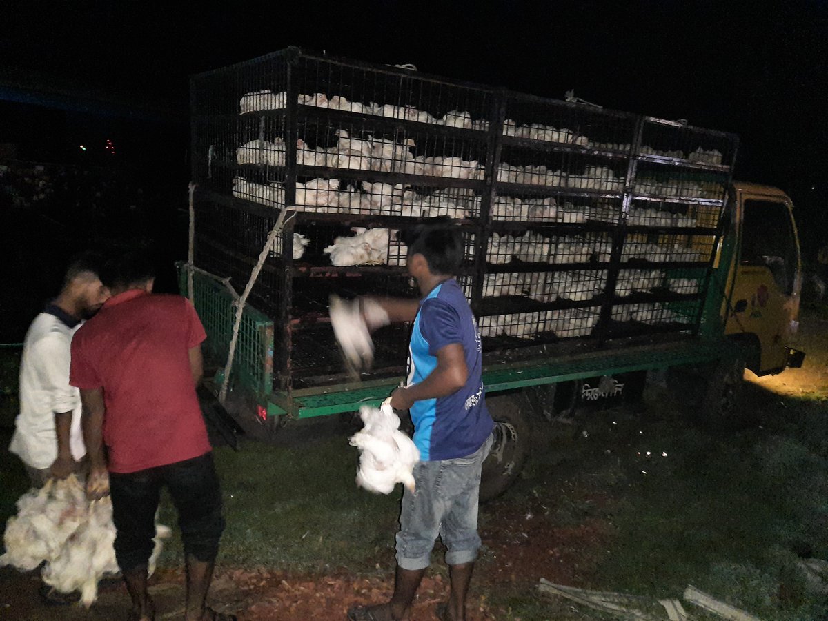 Md.Helal Uddin tweet media