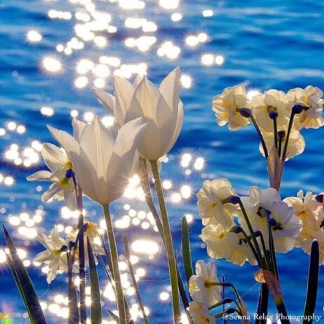 DeeonaFuson's tweet photo. PRINCIPLES OF MIRACLES 28
Miracles are a way of earning release from fear. Revelation induces a state in which fear has been abolished. Miracles are thus a means and revelation is an end.
A Course In Miracles #acim #miraclesofcourse #miracles https://t.co/sRIPIZX6I3