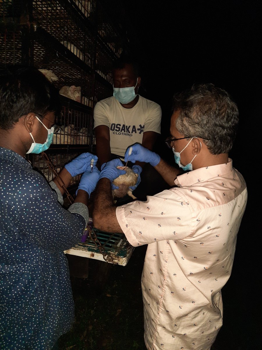 Md.Helal Uddin tweet media