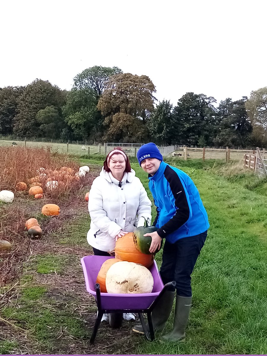 anthonycgeorge's tweet photo. Great day with the wellies back on for some pumpkin picking and animal feeding @Windmill_Farm. 'Tis the season 🎃👻🎃🕷️ #Halloween #Spooktober https://t.co/aPc2iO5OFW