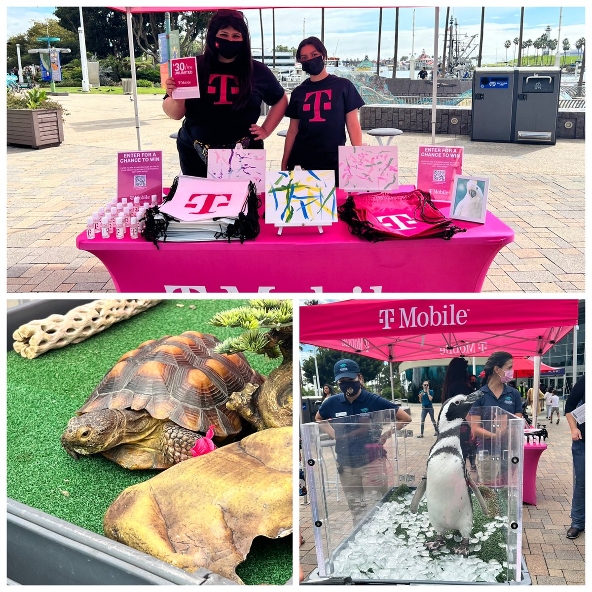 California SMRA tweet media