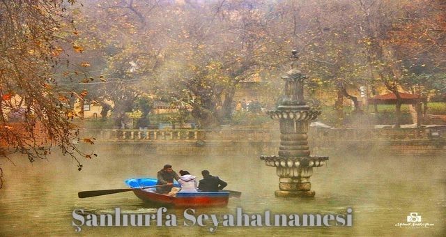 tariharsivi's tweet photo. Şanlıurfa'yı ziyaret etmeden okumanızı tavsiye ederiz.
"Şanlıurfa Seyahatnamesi" 
👇
https://t.co/Z1ehoI6JOe https://t.co/OfAecOh44v