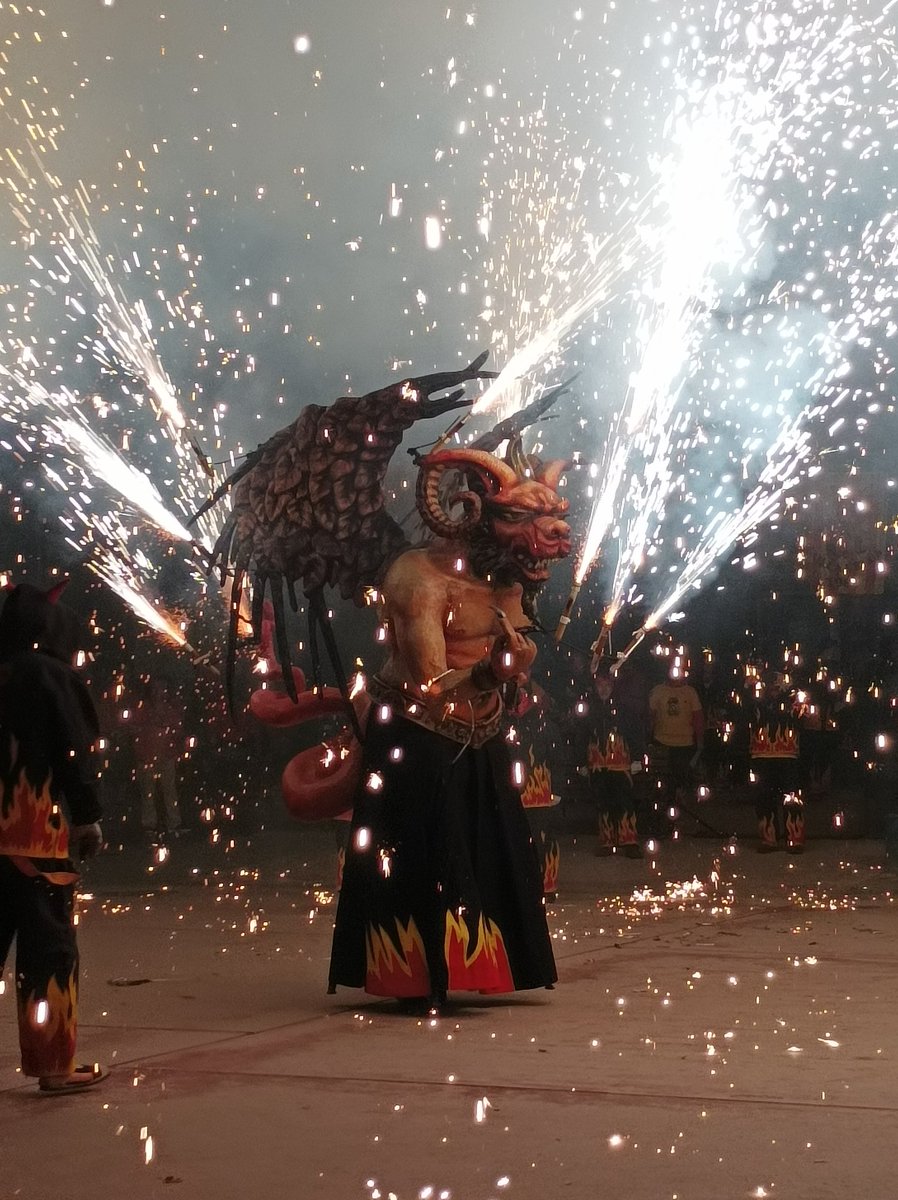 Carme Lleó tweet media