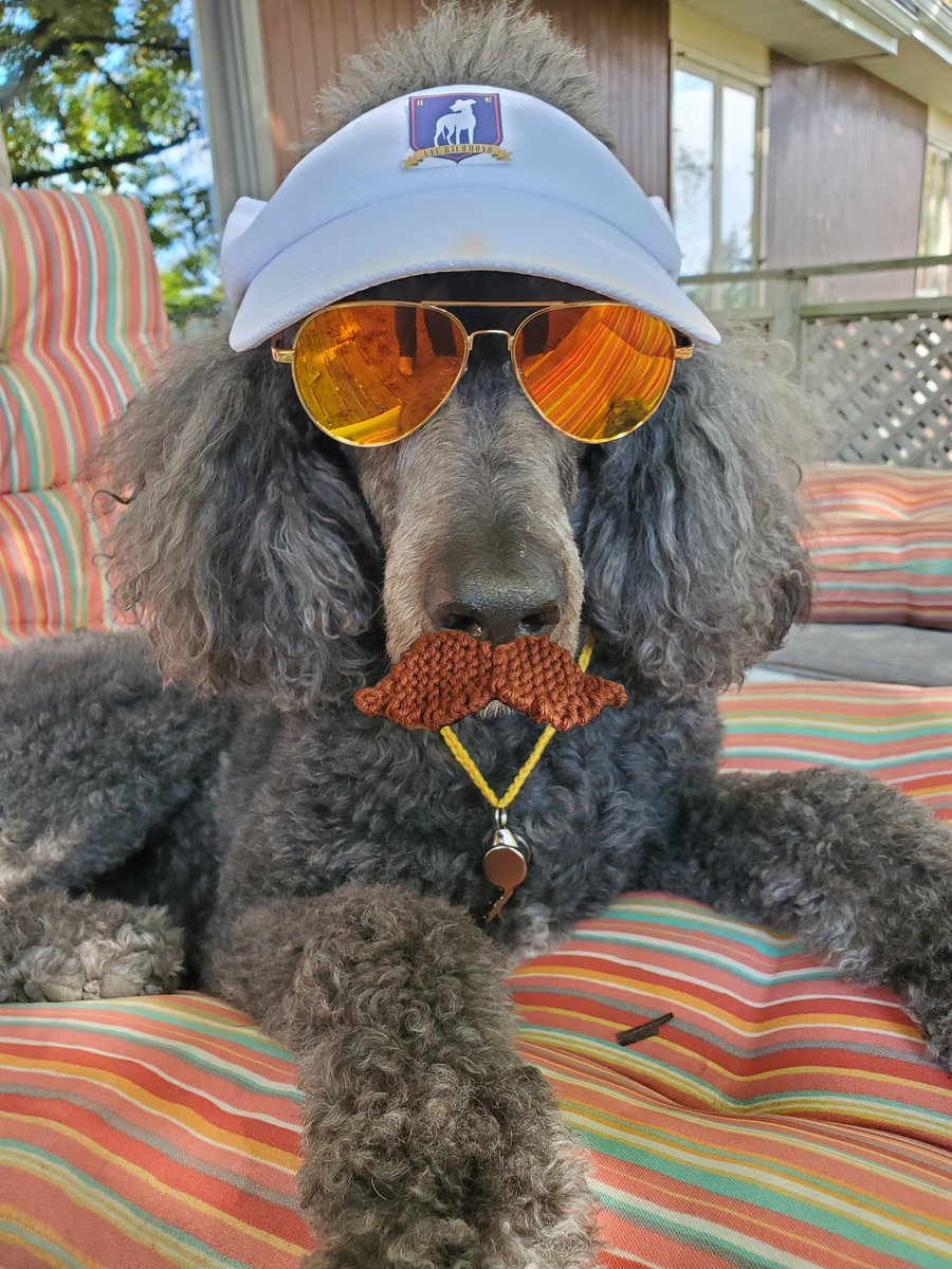 A. 🐩⭐ tweet media