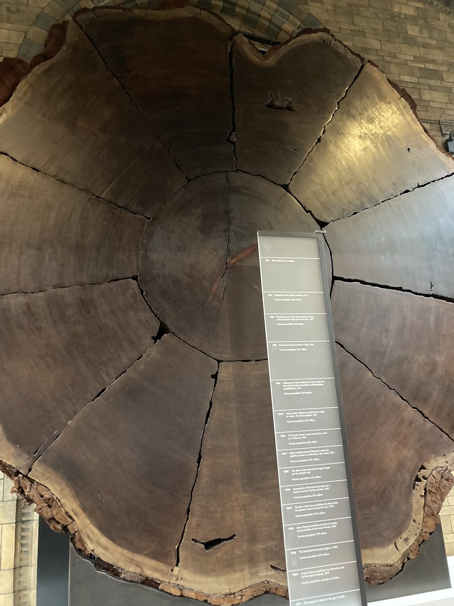 MissSanghera's tweet photo. A geography teachers dream 🌍🌋@NHM_London #geographyteacher https://t.co/RSeG8XLhzy