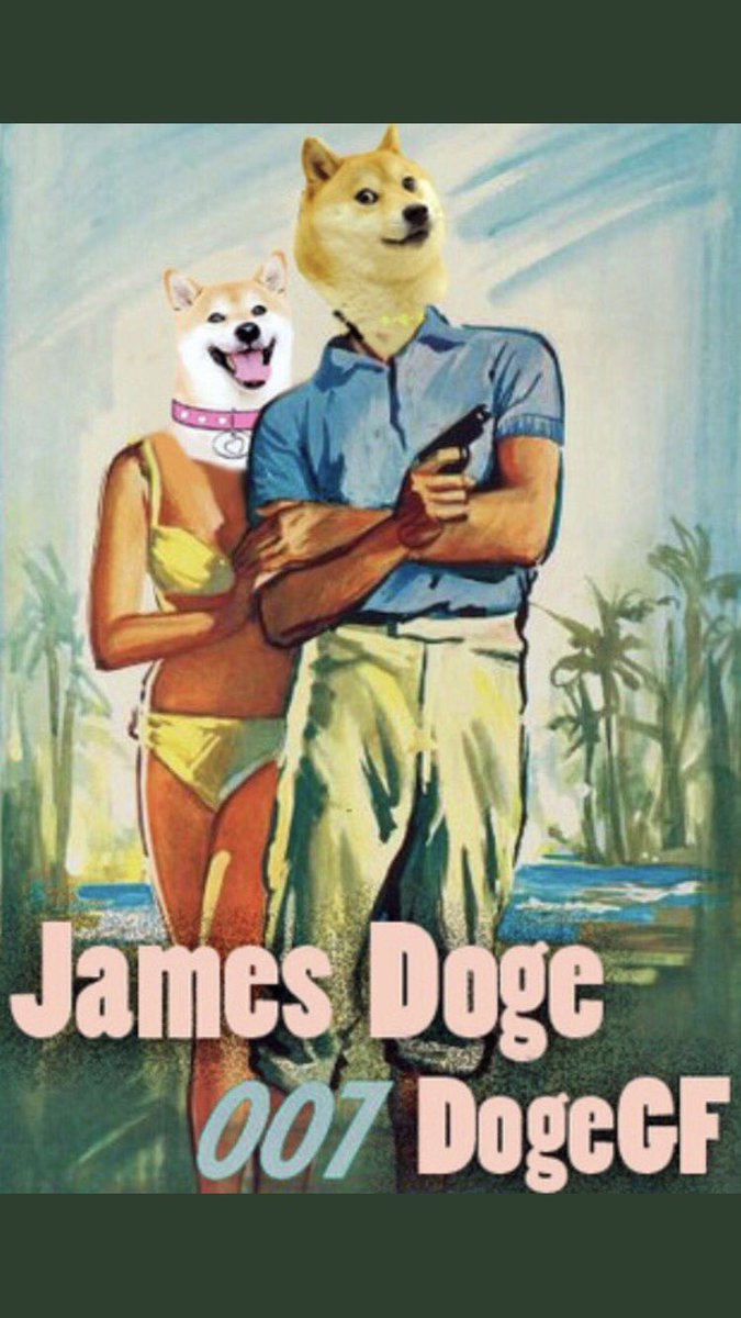 DigexC's tweet photo. #DogeGF get on board.                             $DogeGF #dogecoin #BABYBITC #SHIBARMY #AkitaToken https://t.co/BVg8Qnglv3