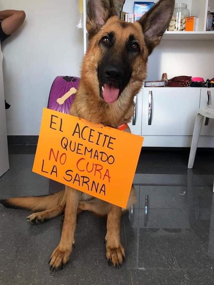 NewsDigitalesAr's tweet photo. INFORMACIÓN IMPORTANTE ‼️

abro hilo... https://t.co/52erj4OLjB
