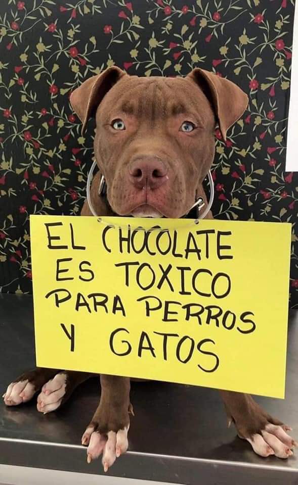NewsDigitalesAr's tweet photo. INFORMACIÓN IMPORTANTE ‼️

abro hilo... https://t.co/52erj4OLjB