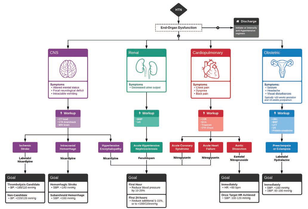 Potentially diagnosing a #hypertensive emergency? There’s an algorithm for that, developed by <a href="/thame/">thame.eth</a>. #FOAMed bit.ly/3oEyD1F