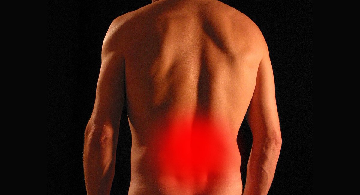 BJSM_BMJ's tweet photo. 🚨 NEW SYSTEMATIC REVIEW! 🚨

Treatment of acute and subacute mechanical non-specific low back pain - what's effective, and what isn't? 🦴

Read the latest systematic review with meta-analysis #openaccess #BJSM ⬇️

https://t.co/ooSfcfYZ3m https://t.co/DfroYaHNJB