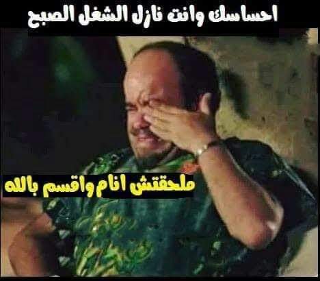 Islam_awad1's tweet photo. https://t.co/rFh0TqCwav