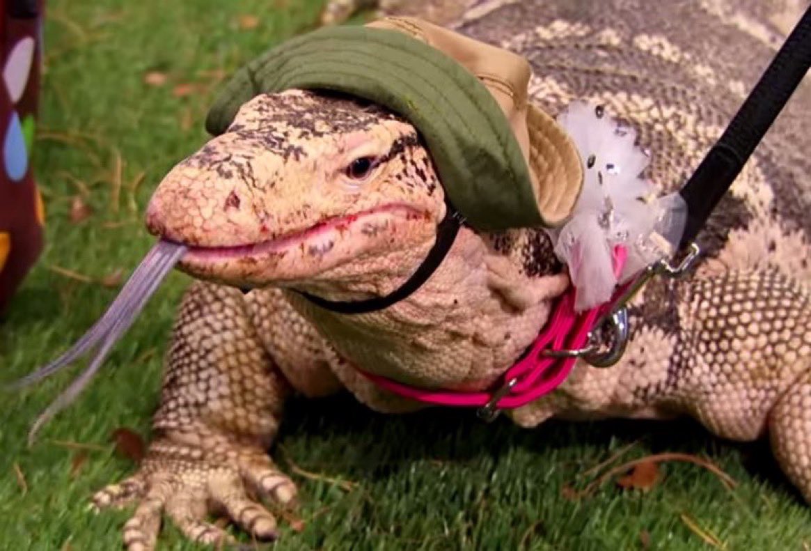 This is a tremendous loss for the Disney community. Mrs Kipling was so legendary 😭