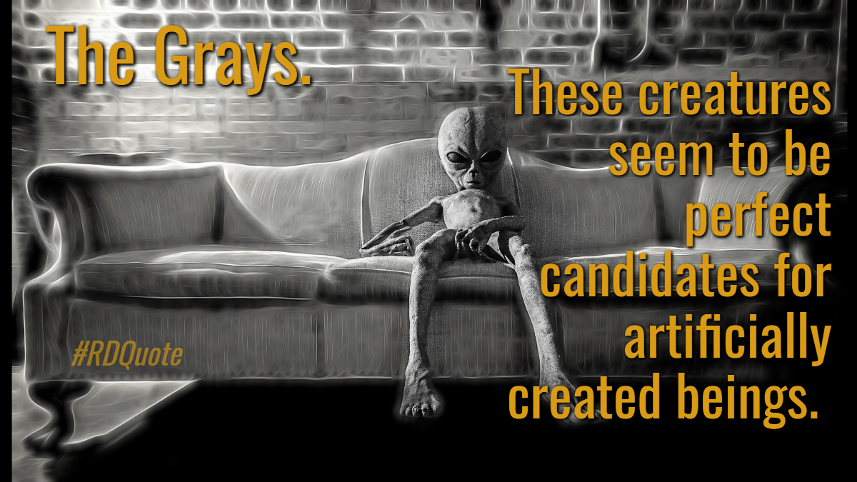 What do you think the gray's are; ET, future human, ultra terrestrial, AI or something else? 

Comment below, let's discuss
🛸