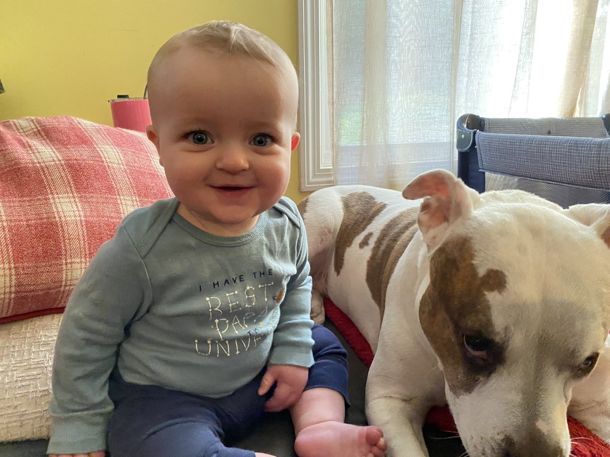 Sylf19's tweet photo. What a happy boy!! With his dog 😊🐶 https://t.co/tV6SXen4Zk