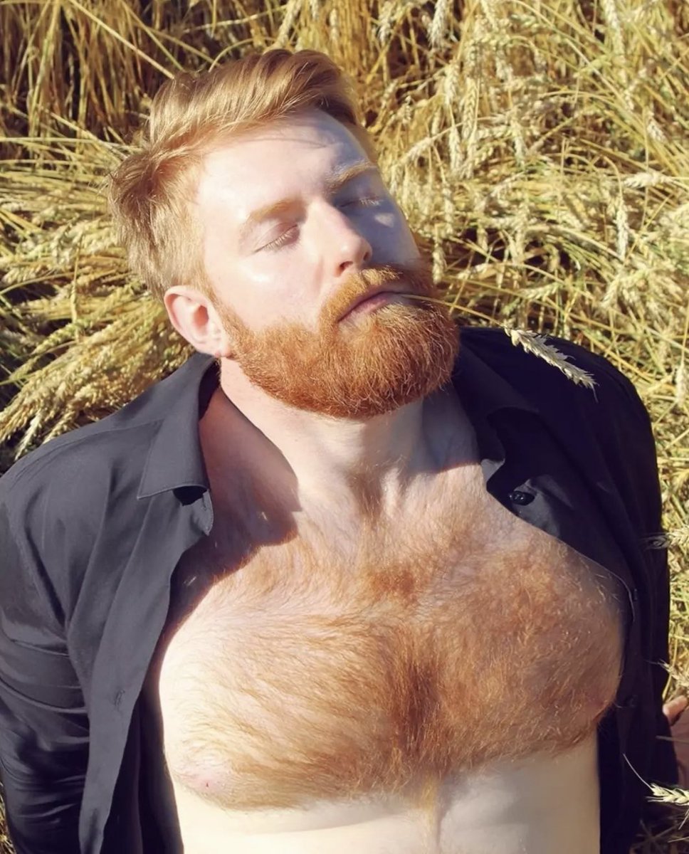 Enjoying my Saturday.