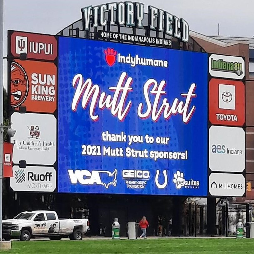 The Bedel team had a blast today <a href="/IndyHumane/">IndyHumane</a> <a href="/MuttStrut/">Indy Mutt Strut</a>! We even got a best pet costume win with Nicki Kuhn’s dogs dressed as Taco &amp; Bell! Here are a few photos of our team and their four-legged friends, strutting their stuff!