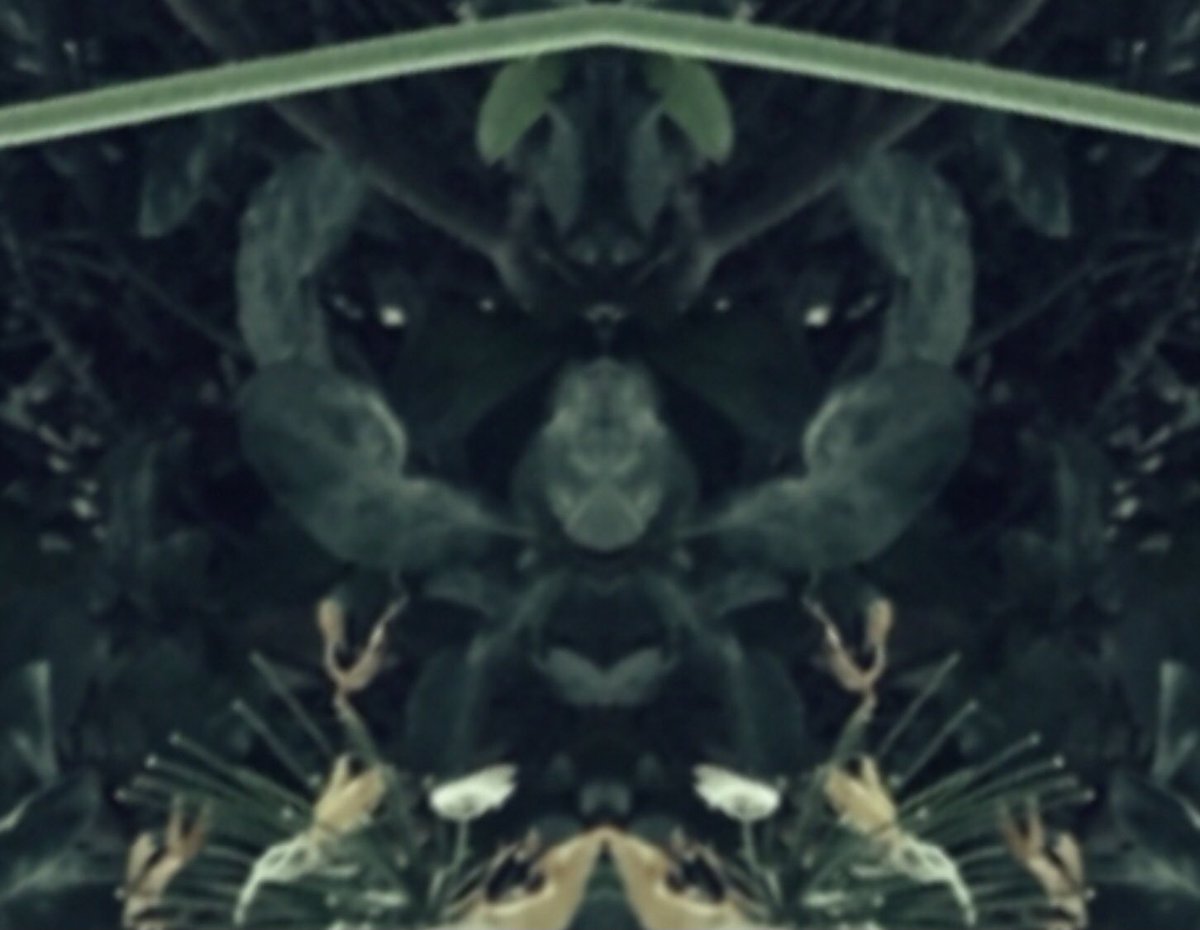 RinaKonft's tweet photo. Working on “The 1000 Creatures in the Garden of my Mind” NFT Collection. https://t.co/0lGxHESE0T