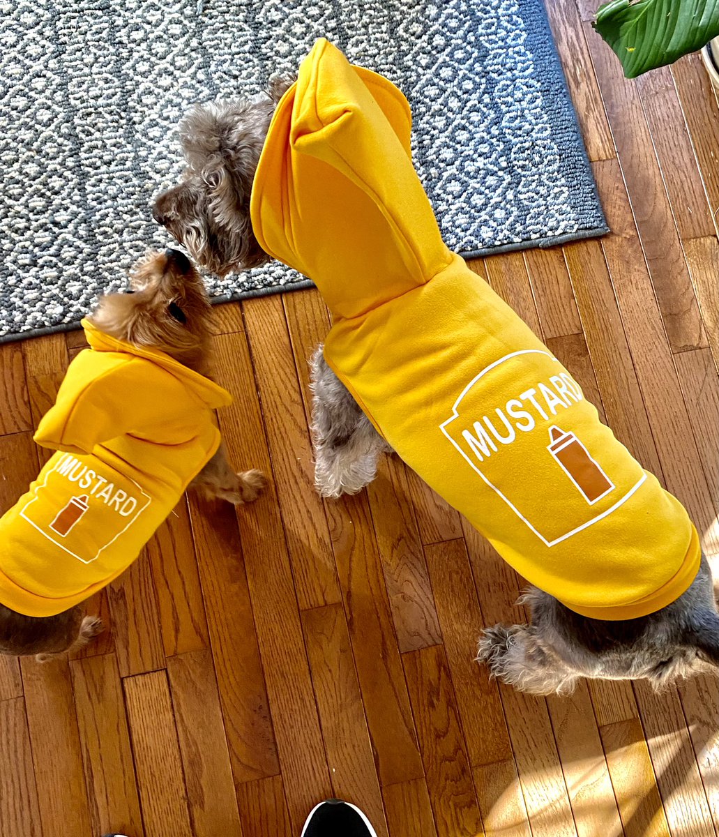 These boys are ready for game day and Halloween! #RollTide #tennesseehateweek