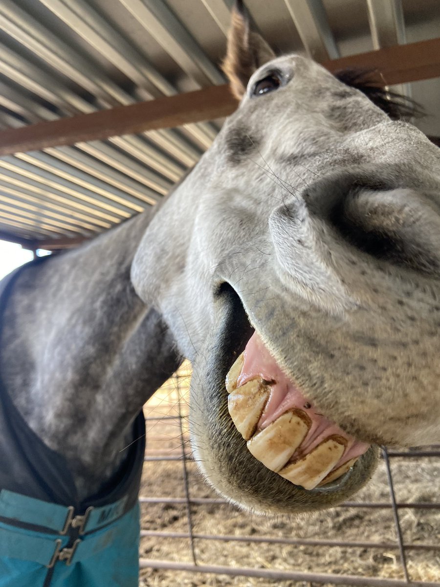 ThatPinto's tweet image. Happy weekend