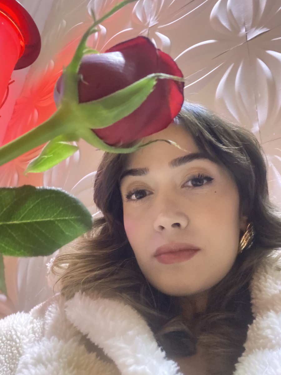 Bugün biri bana gül verdi