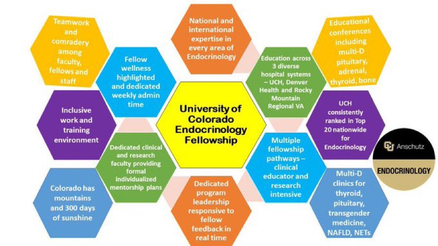 Why chose <a href="/CUEndocrinology/">CU Anschutz Endocrinology</a> for #Endocrine fellowship? So many reasons! Expert faculty interested in endocrine diseases across the spectrum. #transmedicine #thyroid #adrenal #pituitary #bone #diabetes #lipids #endocrinegenetics #endocrinecancer #metabolism #NAFLD #parathyroid