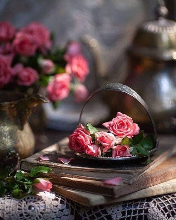 Chic888 ( servant of Christ Jesus )USMC tweet media