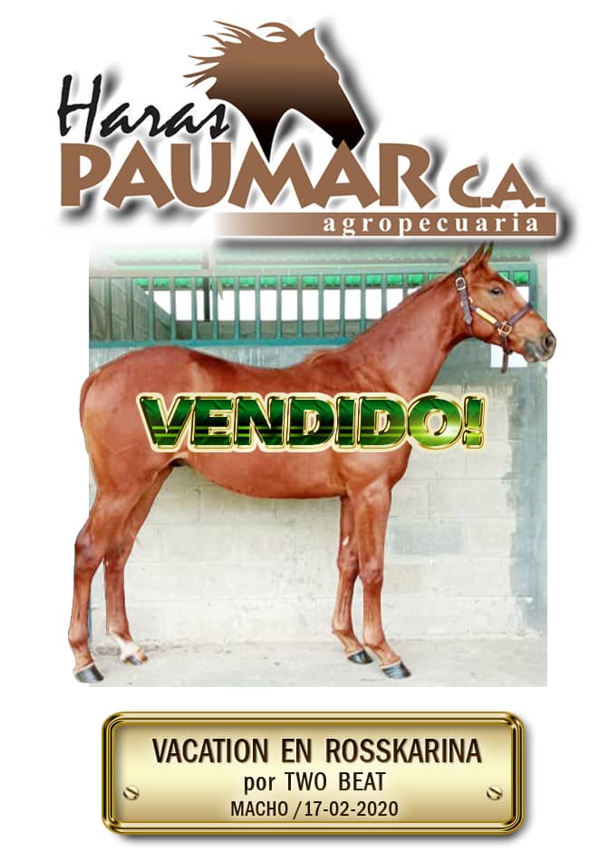 haraspaumar's tweet photo. Gracias, por la confianza y deseamos toda la buena suerte posible, a nuestros buenos amigos #StudZM #ApoyemosLaCriaNacional https://t.co/hJ4UcPWmry