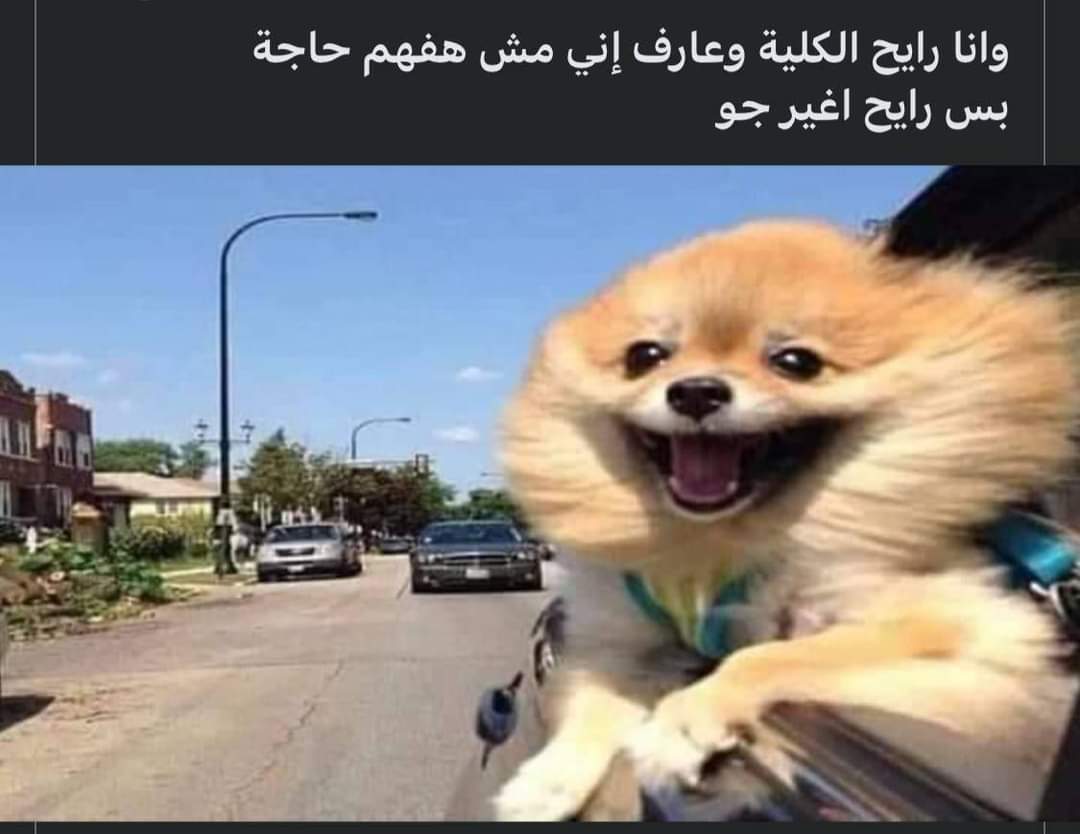 Toonzatt's tweet photo. حرفياً 😂😂😂 https://t.co/16pOo0rNZI