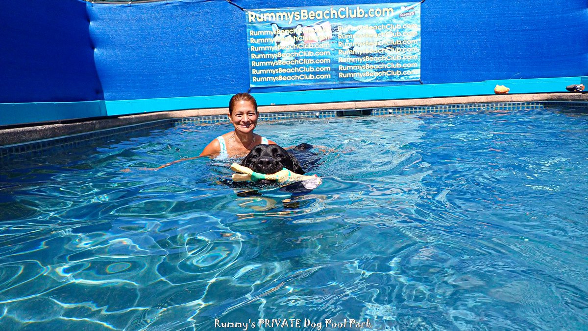 RealRummys's tweet image. Proud Dog Momma #rummysbeachclub #safefordogs #swimclassfordogs #doglessons #dogclass #dogclasses #doglessons  #dogswim #swimdog #englishlab #englishlabs #englishlabradors #englishlabrador #englishlabsrule #englishlabpuppy #proudmomma #proudmoment #prouddogmom #prouddogmoms