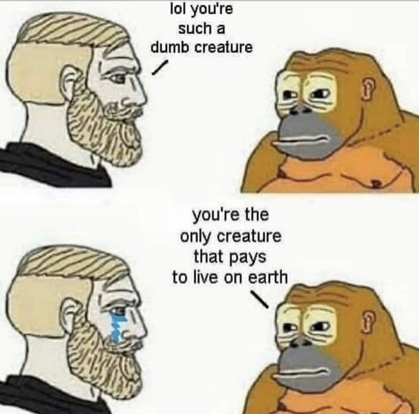 <a href="/axolotl_comrade/">🌈🐊 ☭ The Amphibian Manifesto 🌈🐊 ☭</a> <a href="/ggizmi/">GG 🛰🚀</a>