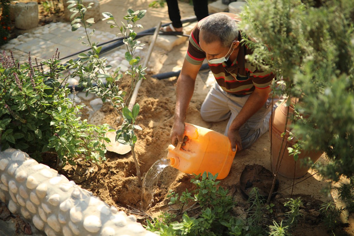 RebuildingAll's tweet photo. Gardens, Goats, and More expands to include new families! Receiving these gardening supplies and animals helps Gaza families have an ongoing source of healthy food and maybe start a small business too. We could not have grown the program without your support. Thank you!
#garden https://t.co/lSTQD1IiS5