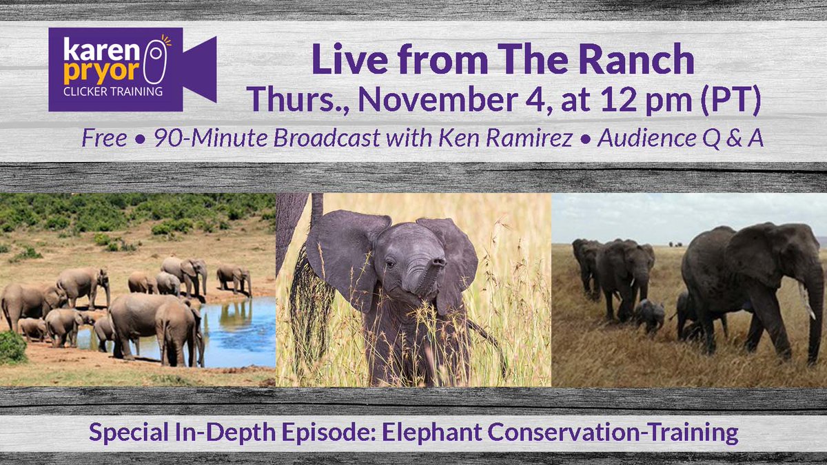 *Don’t Miss Tomorrow’s (11/4) Free Virtual Event* <a href="/KenKPCT/">Ken Ramirez</a> will give an inside look at the elephant conservation project he's been leading in Africa to change the migration route of a large herd of elephants so they never enter poacher territory.  bit.ly/2KArNEY