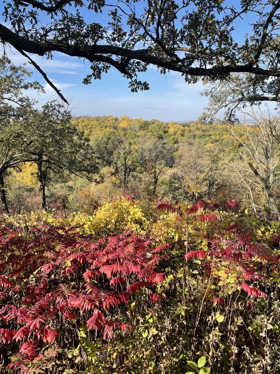 Fall in the Loess Hills