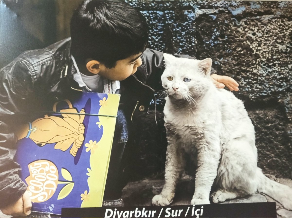 Diyarbakır/Sur Fotoğraf: Mehmet Kılıçoğlu