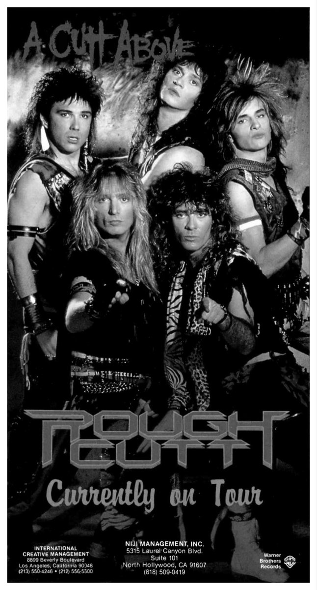 Mitch Lafon tweet media