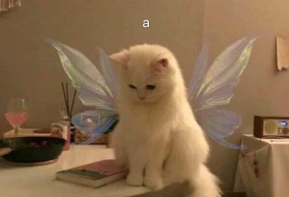 iSiPeroNo's tweet photo. La mariposa de mi estómago viendo como me dejaste en visto: https://t.co/pN7z4TfxwK