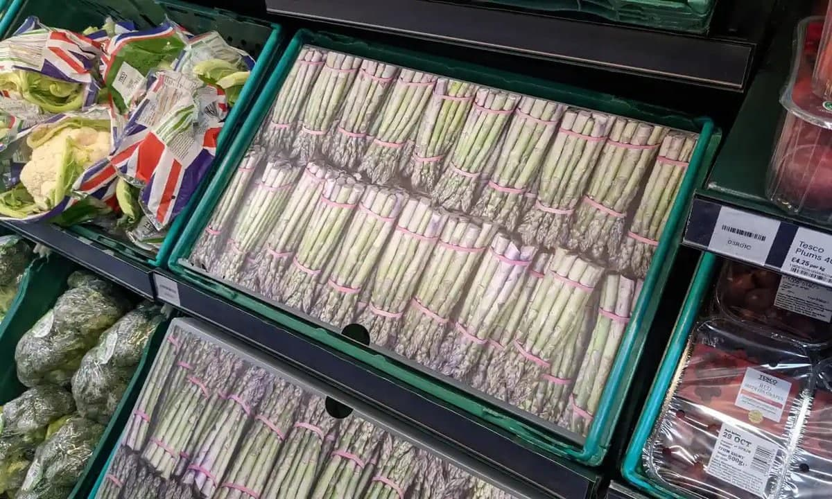 lentaruofficial's tweet image. Пустые прилавки прикрыли фотографиями продуктов в магазинах США и Великобритании. У продавцов не осталось другого выбора, потому что полки нечем заполнять.

А всё из-за нехватки дальнобойщиков и паники, возникшей на фоне слухов о дефиците. 

Рыбов не продают. И даже не показывают