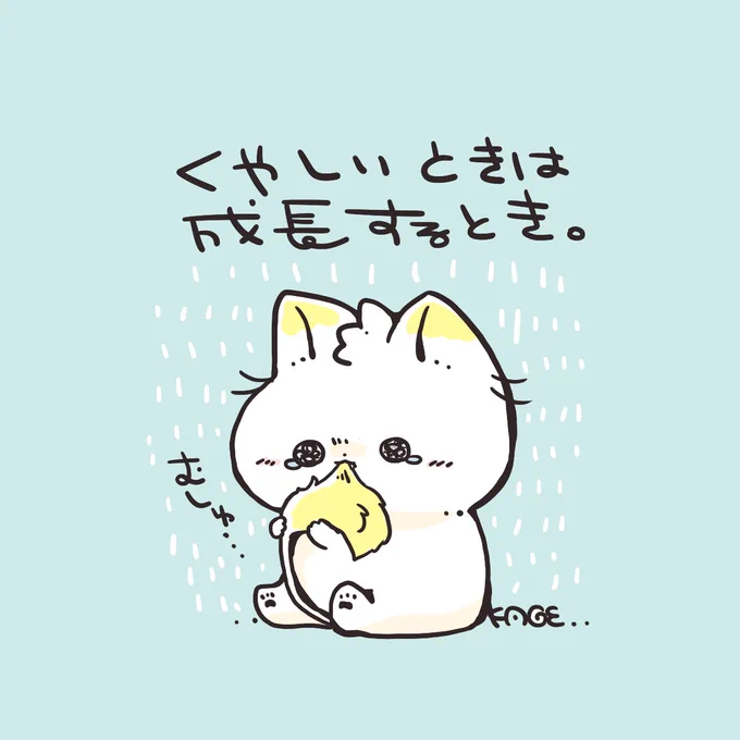 おはようございます🐱!
うまくいかないと自分にくやしさを感じてもうなにもしたくなくなるけど、ここで動くかどうかで成長するかどうかが決まるんだって! 