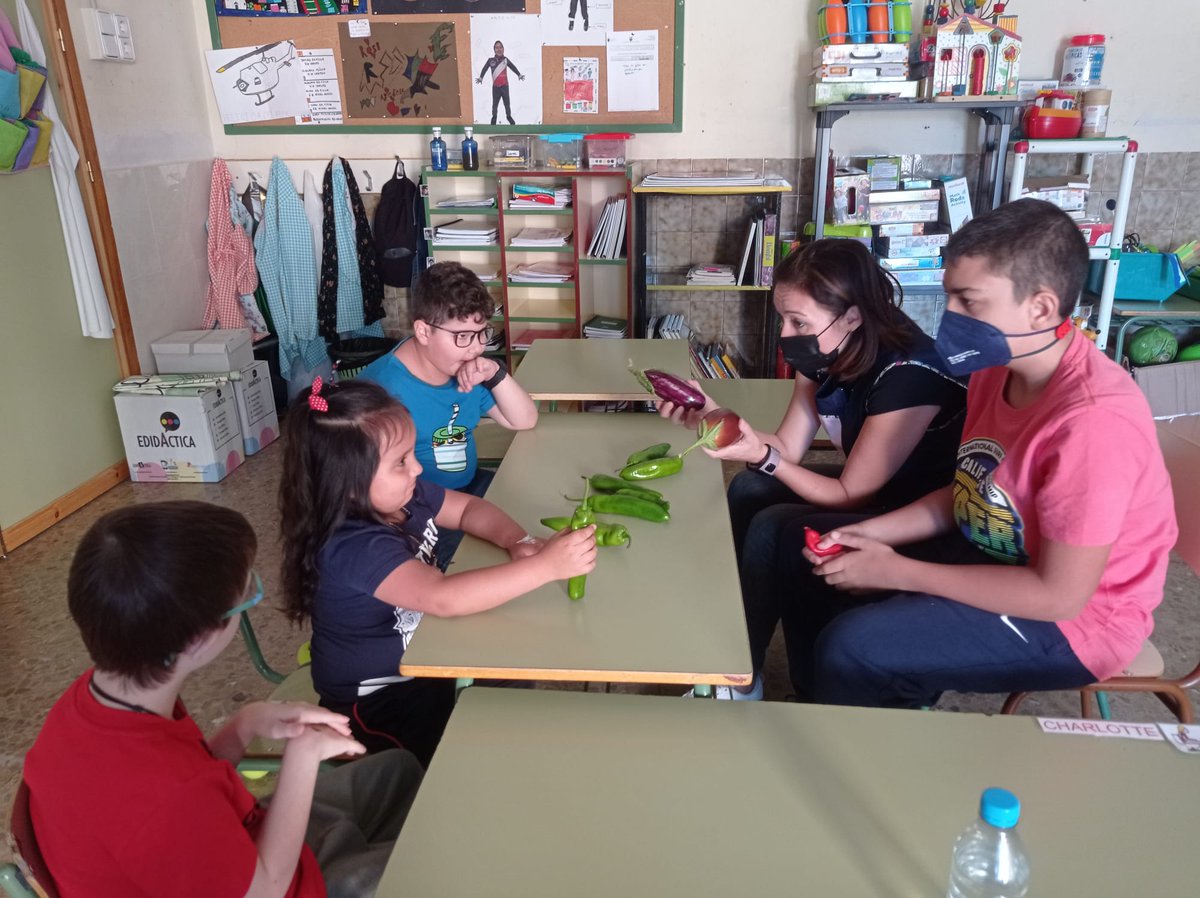 CbmSra's tweet photo. HUERTO ESCOLAR LASUNCIÓN
Y seguimos recogiendo huerta de verano, pimientos 🌶️🫑y berenjenas 🍆 esta vez le tocó al aula abierta. Los alumnos la  recogieron, trabajaron sobre ello y la maestra del aula nos ha deleitado con tres cocas de verduras 👩🏼‍🌾
 ☺️ Bon appetit! https://t.co/TBs7EQoXoH