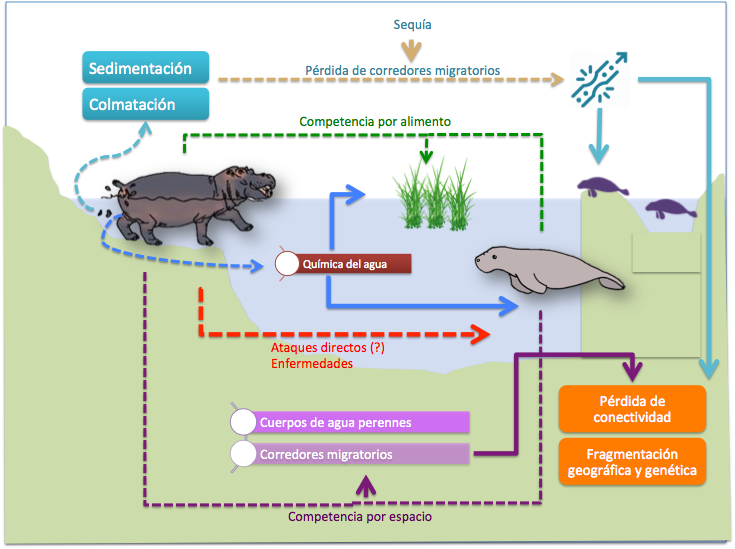Nataly Castelblanco tweet media
